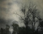 Shelterbelt #1 2019 by Angie de Latour