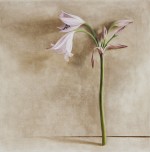 Lily standing 2021 by Angie de Latour