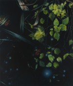 The Devil is in the Detail #5 2009 by Angie de Latour