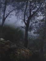 Woods #2 2009 by Angie de Latour