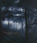 Woods #3 2009 by Angie de Latour