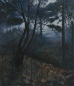 Woods #5 2009 by Angie de Latour